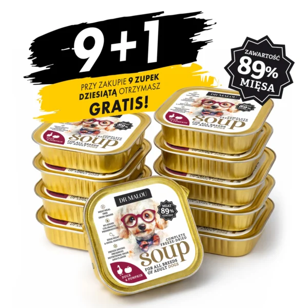 Duck and pumpkin soup 10 pcs. - freeze-dried complete food for dogs