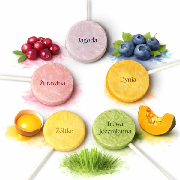 Freeze-dried meat lollipops for cats – mix of flavors