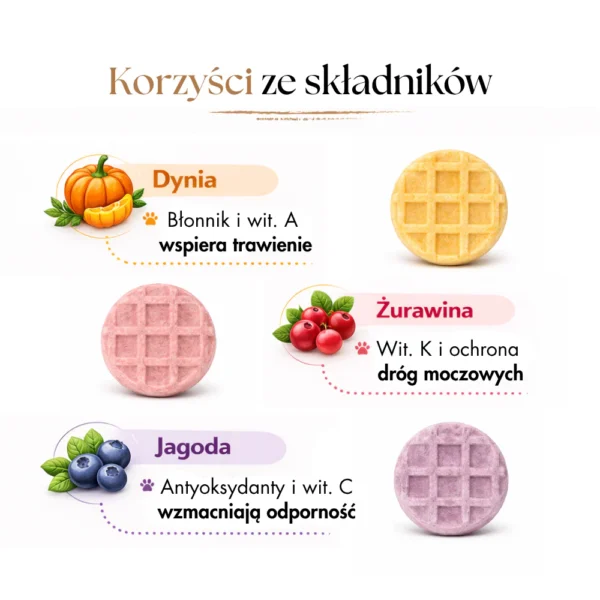 Complementary food for dogs, freeze-dried chicken wafers (mix of flavors)