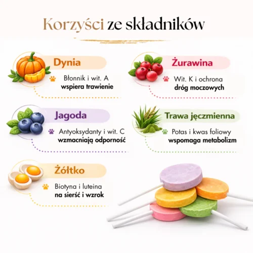 Freeze-dried meat lollipops for cats – mix of flavors