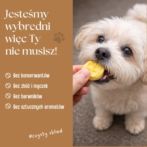 Complementary food for dogs, freeze-dried chicken wafers (mix of flavors)