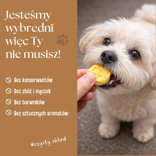 Complementary food for dogs, freeze-dried chicken wafers (mix of flavors)