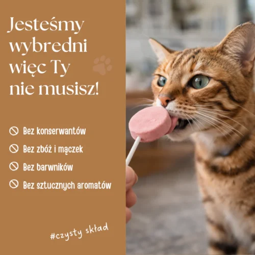 Freeze-dried meat lollipops for cats – mix of flavors