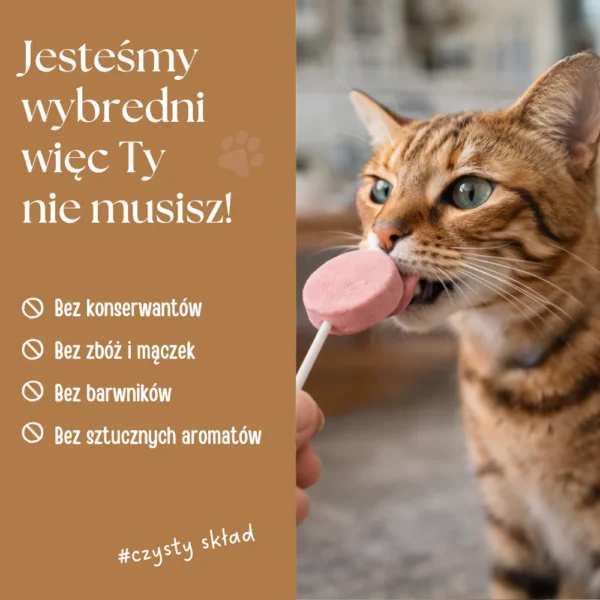 Freeze-dried meat lollipops for cats – mix of flavors