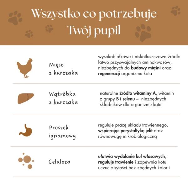 Freeze-dried meat lollipops for cats – mix of flavors