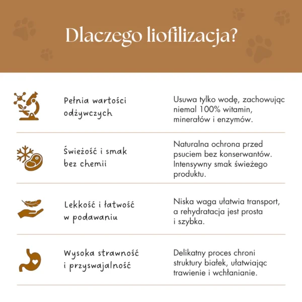 8 Zestaw Zupek liofilizowanych dla PSA Mix (5x Żurawina Urinary, 5x Dynia)
